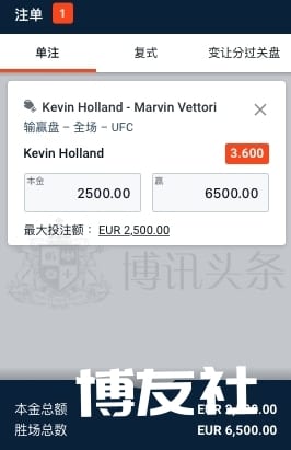 UFC博彩来了!终极格斗冠军赛的赔率大评选