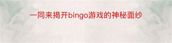 一同来揭开bingo游戏的神秘面纱