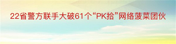 22省警方联手大破61个“PK拾”网络菠菜团伙