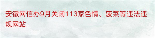 安徽网信办9月关闭113家色情、菠菜等违法违规网站