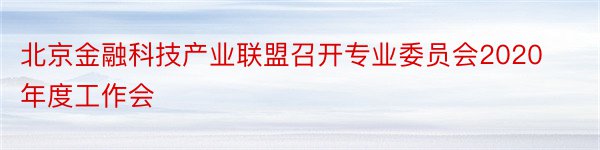 北京金融科技产业联盟召开专业委员会2020年度工作会