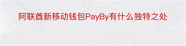 阿联酋新移动钱包PayBy有什么独特之处