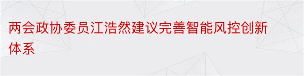 两会政协委员江浩然建议完善智能风控创新体系